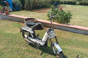 Motorino Brio