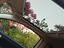 Immagine 6