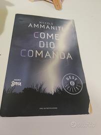 libro come dio comanda 
