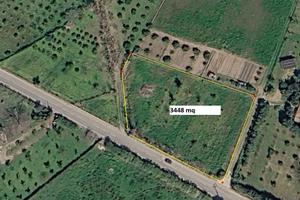 Terreno Agricolo 3448 mq - Tortolì - vicino mare