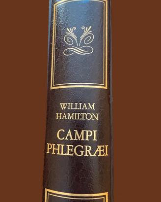 Campi Flegrei libro Banco di Napoli W.Hamilton