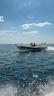 -oromarine-g31-pronta-consegna