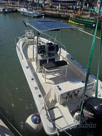 Barca searey laguna 20