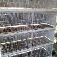 Gabbie 120 per uccelli