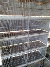 Gabbie 120 per uccelli