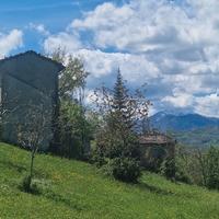 Podere con fabbricati
