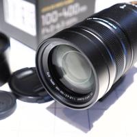 Panasonic Leica 100-400mm