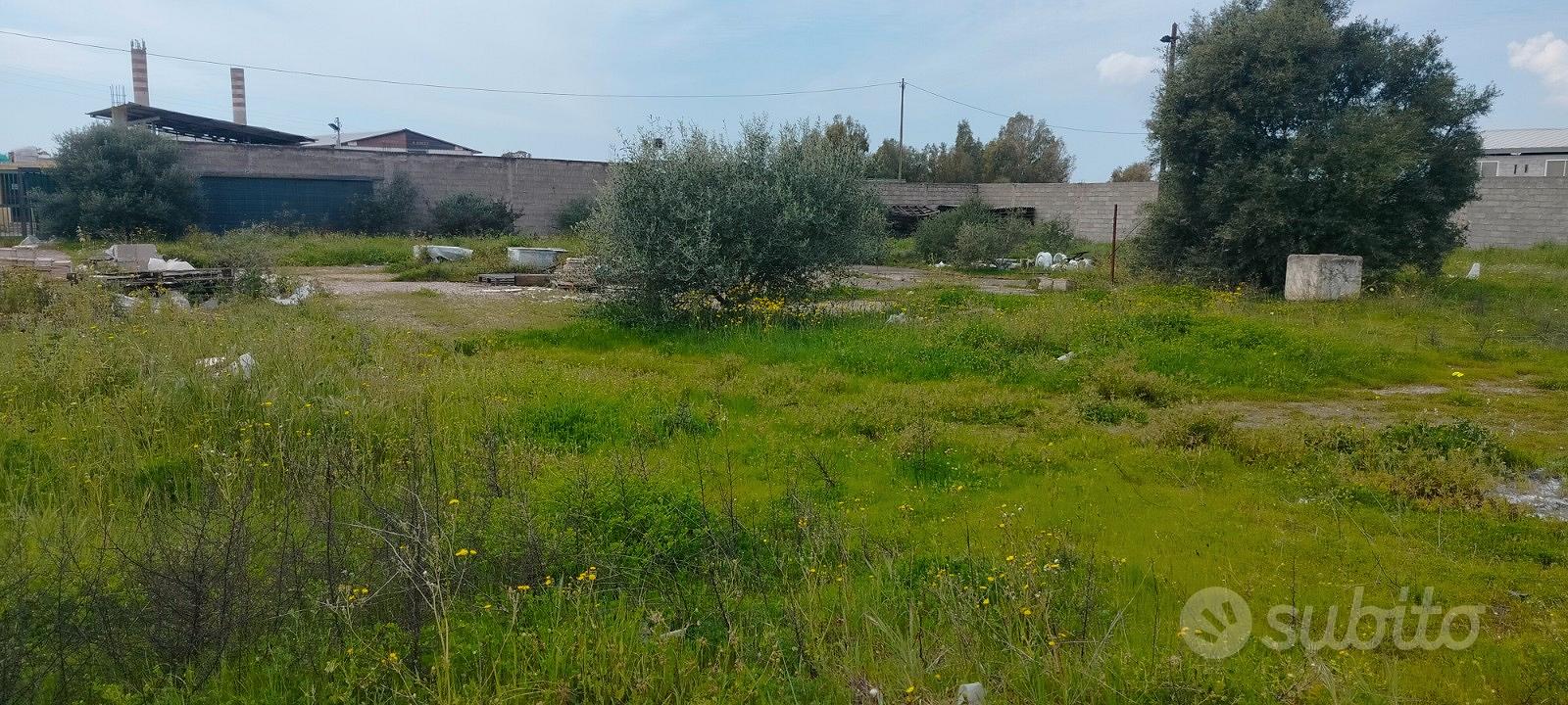 Terreno uso magazzino - View 6