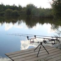 Rod pod carpfishing fox