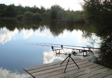 Rod pod carpfishing fox