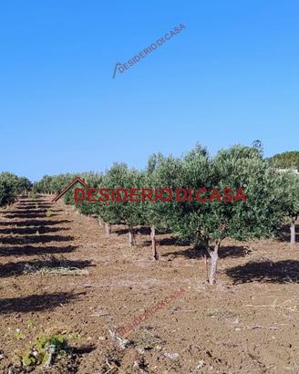 Terreno, Paceco.