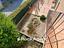 Immagine 20
