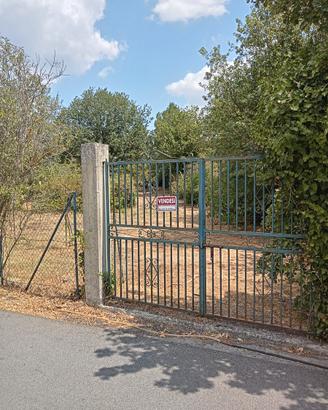 Terreno agricolo in centro urbano