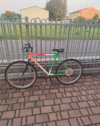 montain bike 26 pronto all' uso