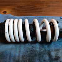 mono ammortizzatore duke 390