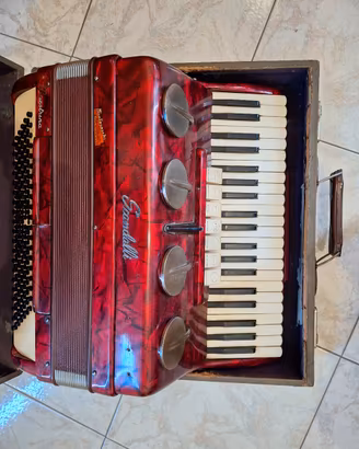 fisarmonica 