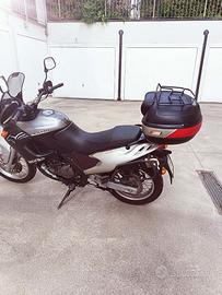 PEGASO 650