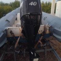 Ricambi Mercury 40 60 cv efi