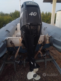 Ricambi Mercury 40 60 cv efi