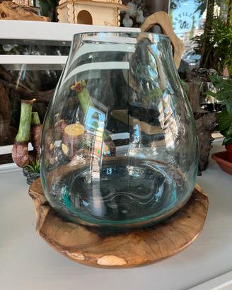 Acquari e vivarium