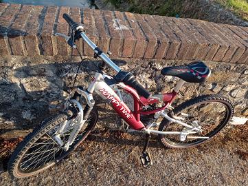 Bicicletta MTB 24