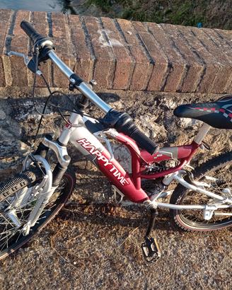 Bicicletta MTB 24