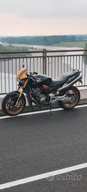 Hornet 900