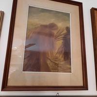 quadro 17