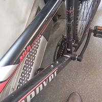 Bici della famosa marca Denver!