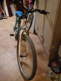 bicicletta 