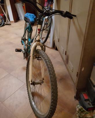 bicicletta 