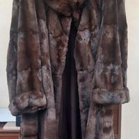 Pelliccia di   Petit  Gris