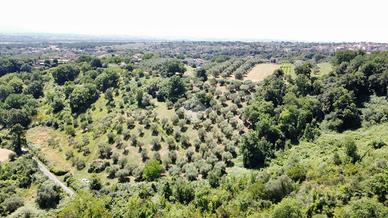 TER. AGRICOLO A FIANO ROMANO