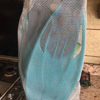 Pinne mare  nr. 43 + boccaglio