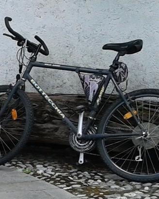 Bicicletta Mountain Bike Bottecchia