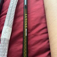 Daiwa Luvias Bolo evution