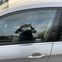 PORTIERA ANTERIORE SINISTRA CITROEN C5 Berlina 3Â°