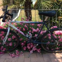 Bicicletta Vintage Atala UP MP OS.2100
