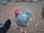 Immagine 2