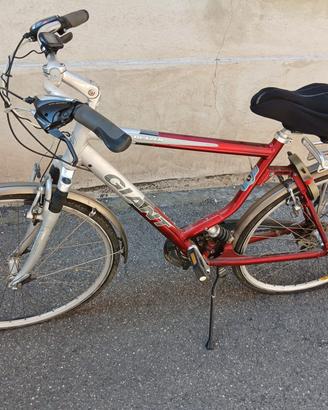 City bike adatta per cicloturismo 