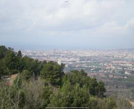 Terreno collinare vista mare