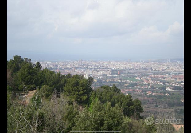 Terreno collinare vista mare