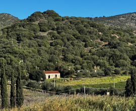 Terreno con casa a San Lorenzo Valle Sennori
