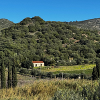 Terreno con casa a San Lorenzo Valle Sennori
