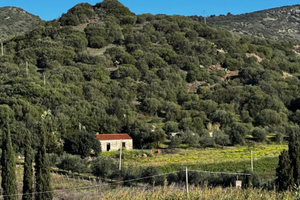 Terreno con casa a San Lorenzo Valle Sennori