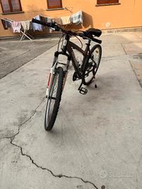 bicicletta rock-rider