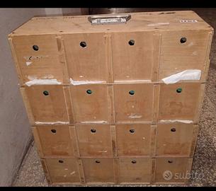 trasportino per uccelli 