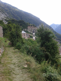 Casale