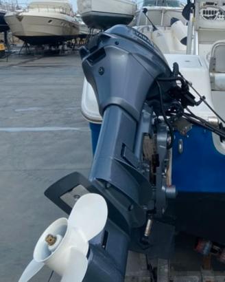 Motore YAMAHA FT 9.9 LEPX High Trust (COME NUOVO)