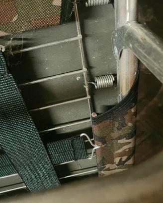 brandina x cani nuova